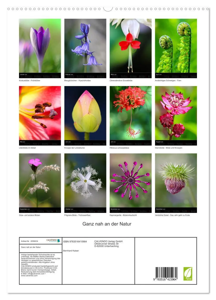 Bild: 9783516415964 | Ganz nah an der Natur (hochwertiger Premium Wandkalender 2026 DIN...