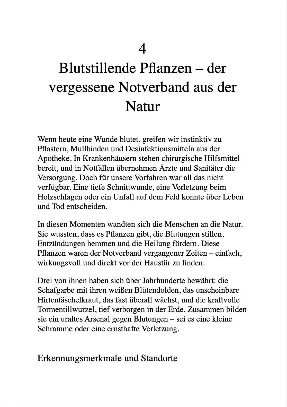 Bild: 9791281365964 | DIE VERGESSENE HAUSAPOTHEKE | Claudia Leclair | Taschenbuch | 148 S.