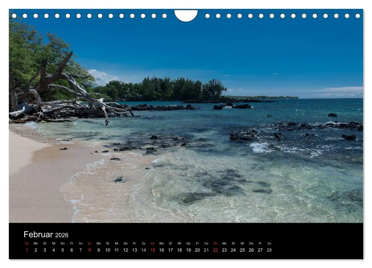Bild: 9783516166064 | Hawaiianische Träume Big Island (Wandkalender 2026 DIN A4 quer),...