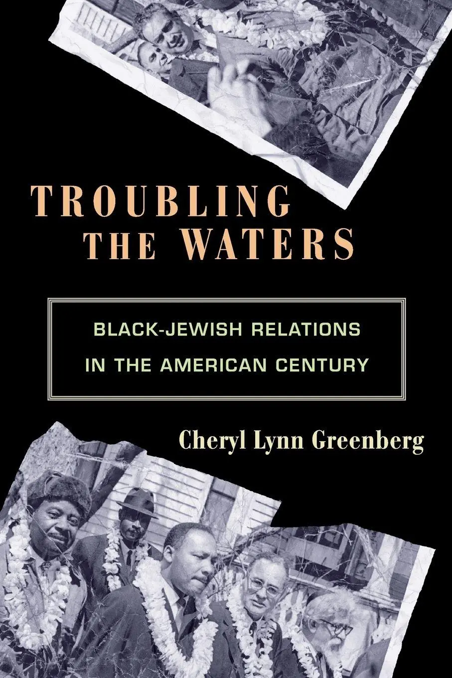 Cover: 9780691146164 | Troubling the Waters | Black-Jewish Relations in the American Century