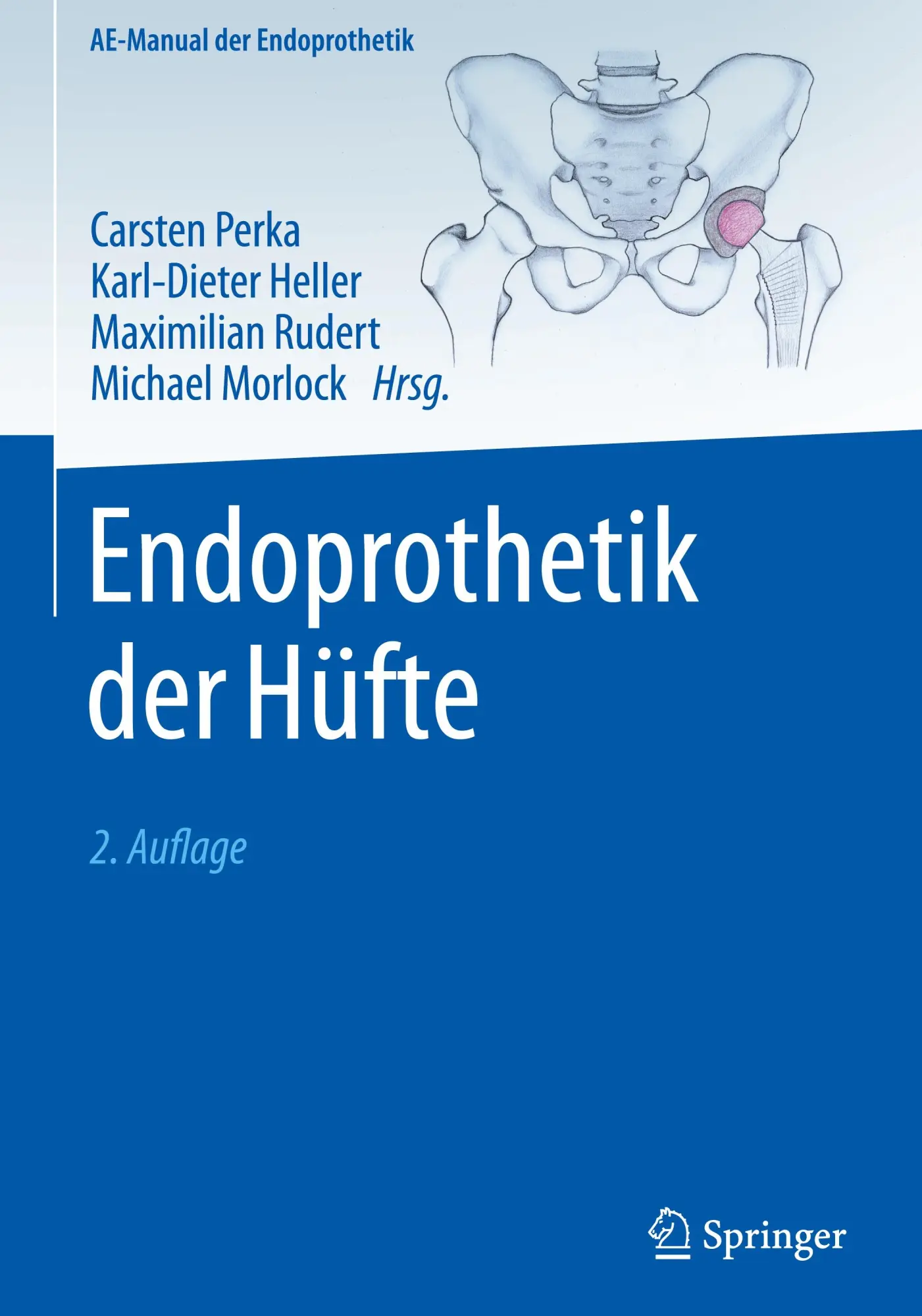 Cover: 9783662686164 | Endoprothetik der Hüfte | Carsten Perka (u. a.) | Buch | xxi | Deutsch