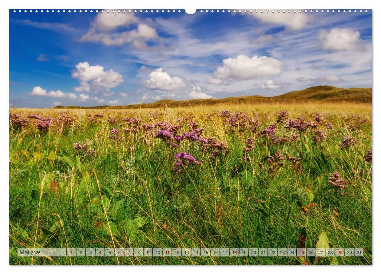 Bild: 9783435106264 | Texel - Kleine Insel, große Vielfalt (Wandkalender 2025 DIN A2...