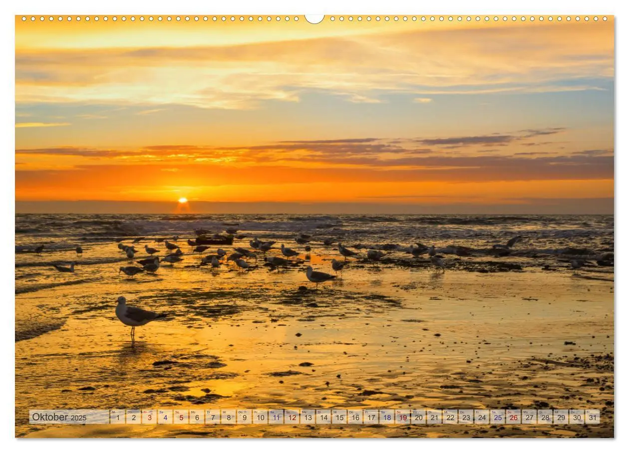 Bild: 9783435106264 | Texel - Kleine Insel, große Vielfalt (Wandkalender 2025 DIN A2...