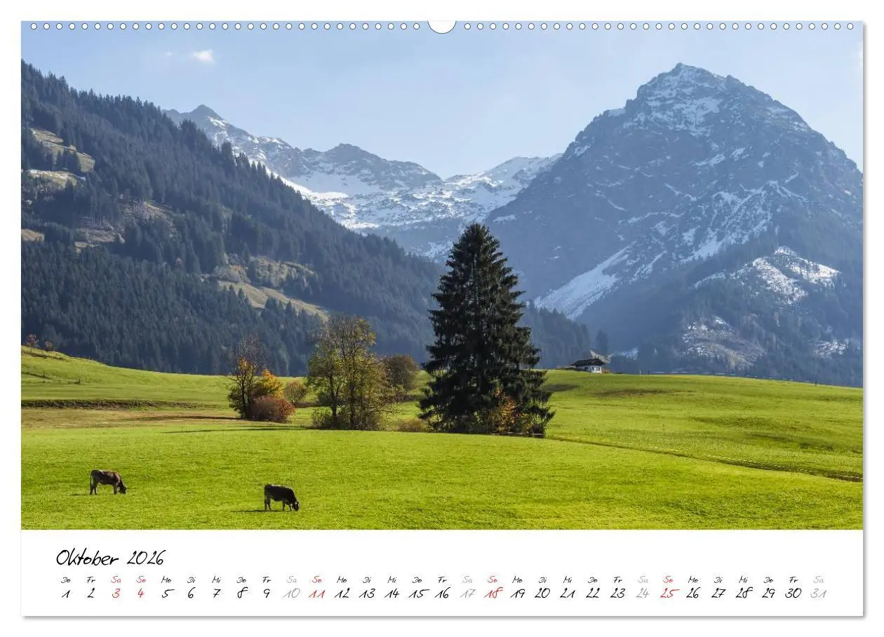 Bild: 9783516076264 | Oberallgäuer Landschaft (Wandkalender 2026 DIN A2 quer), CALVENDO...