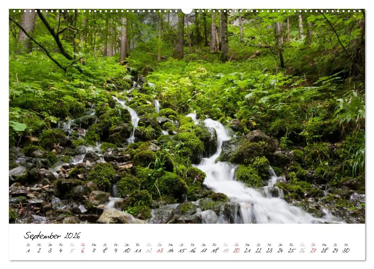Bild: 9783516076264 | Oberallgäuer Landschaft (Wandkalender 2026 DIN A2 quer), CALVENDO...