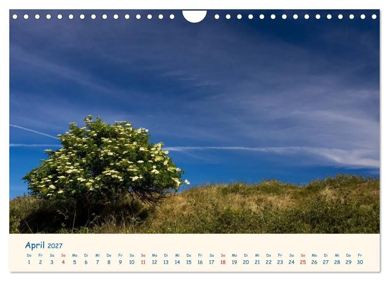 Bild: 9783594126264 | Urlaub auf Borkum (Wandkalender 2027 DIN A4 quer), CALVENDO...