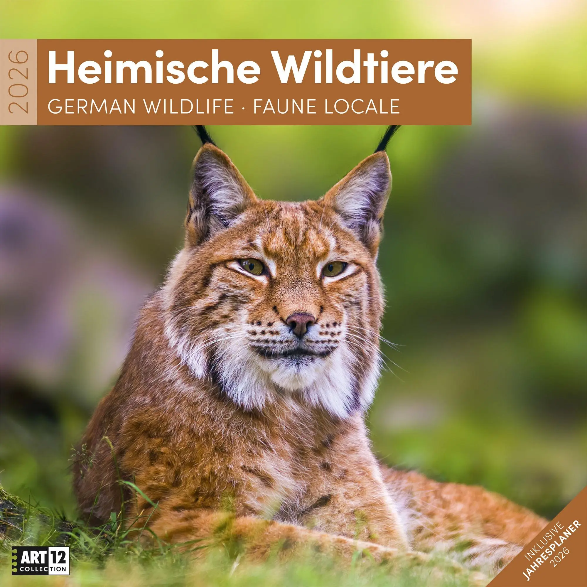 Cover: 9783838446264 | Heimische Wildtiere Broschürenkalender 2026 - 30x30 - Art12 | GmbH Cover: 9783838446264 | Heimische Wildtiere Broschürenkalender 2026 - 30x30 - Art12 | GmbH