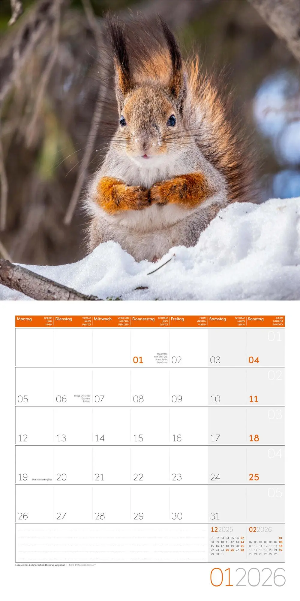 Bild: 9783838446264 | Heimische Wildtiere Broschürenkalender 2026 - 30x30 - Art12 | GmbH