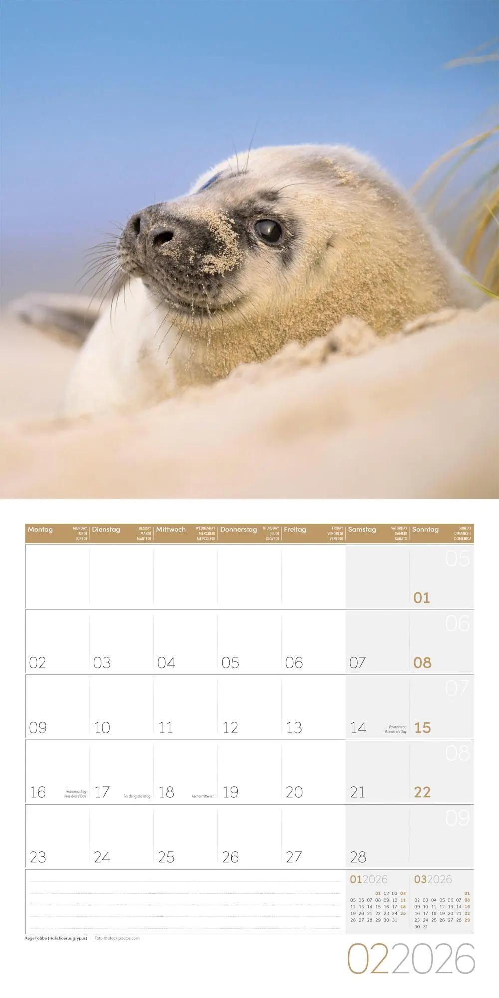 Bild: 9783838446264 | Heimische Wildtiere Broschürenkalender 2026 - 30x30 - Art12 | GmbH