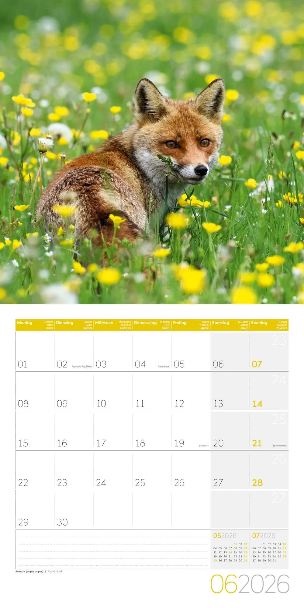 Bild: 9783838446264 | Heimische Wildtiere Broschürenkalender 2026 - 30x30 - Art12 | GmbH