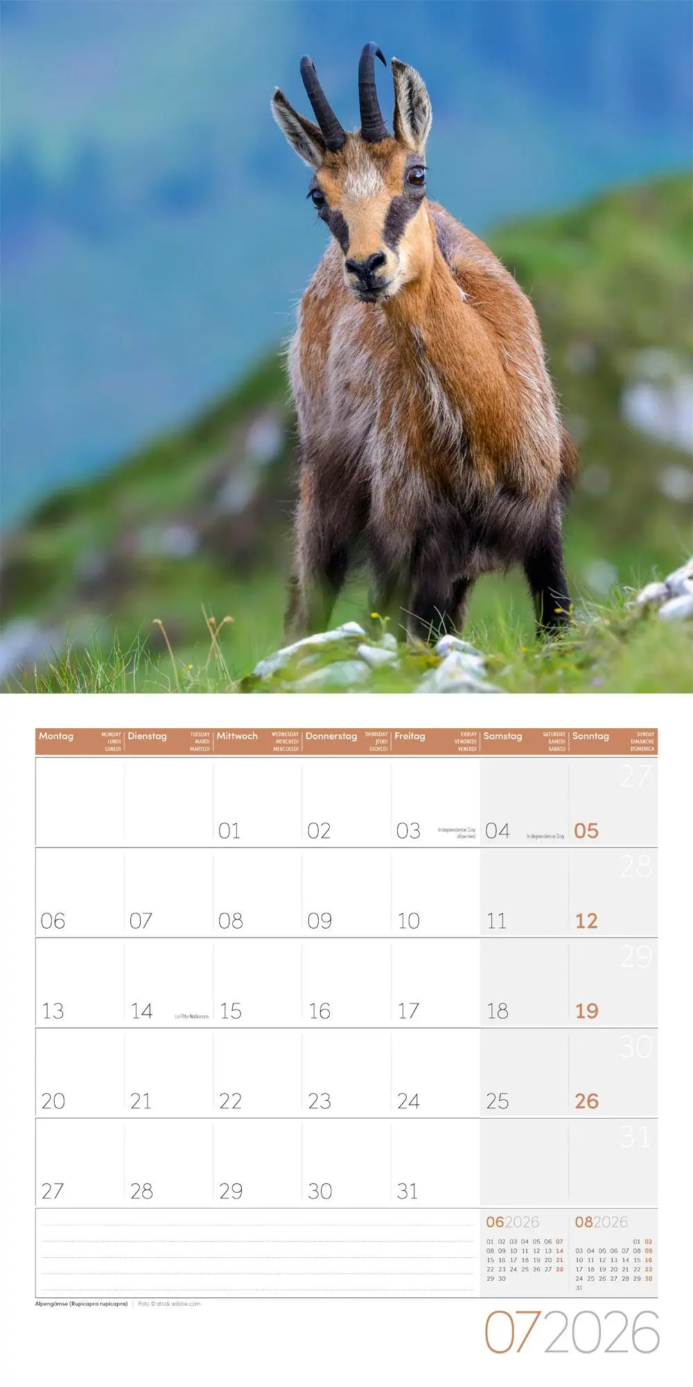 Bild: 9783838446264 | Heimische Wildtiere Broschürenkalender 2026 - 30x30 - Art12 | GmbH