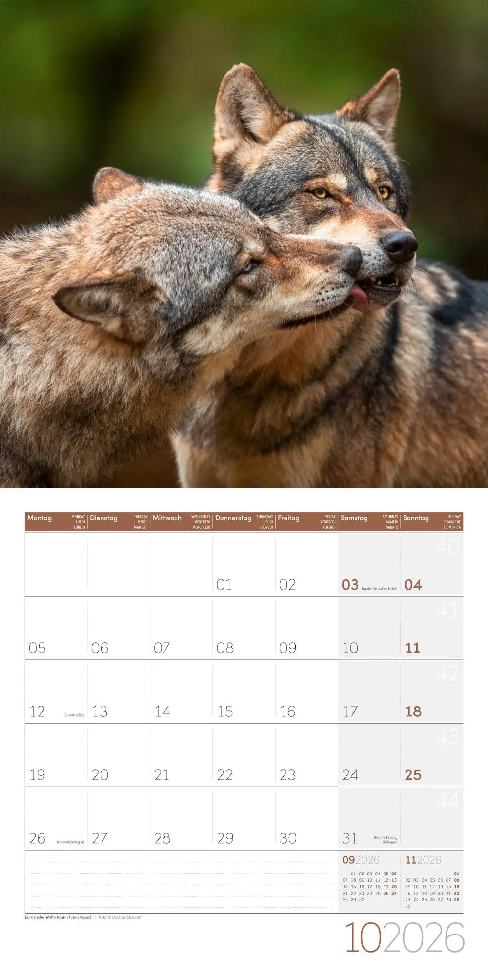 Bild: 9783838446264 | Heimische Wildtiere Broschürenkalender 2026 - 30x30 - Art12 | GmbH