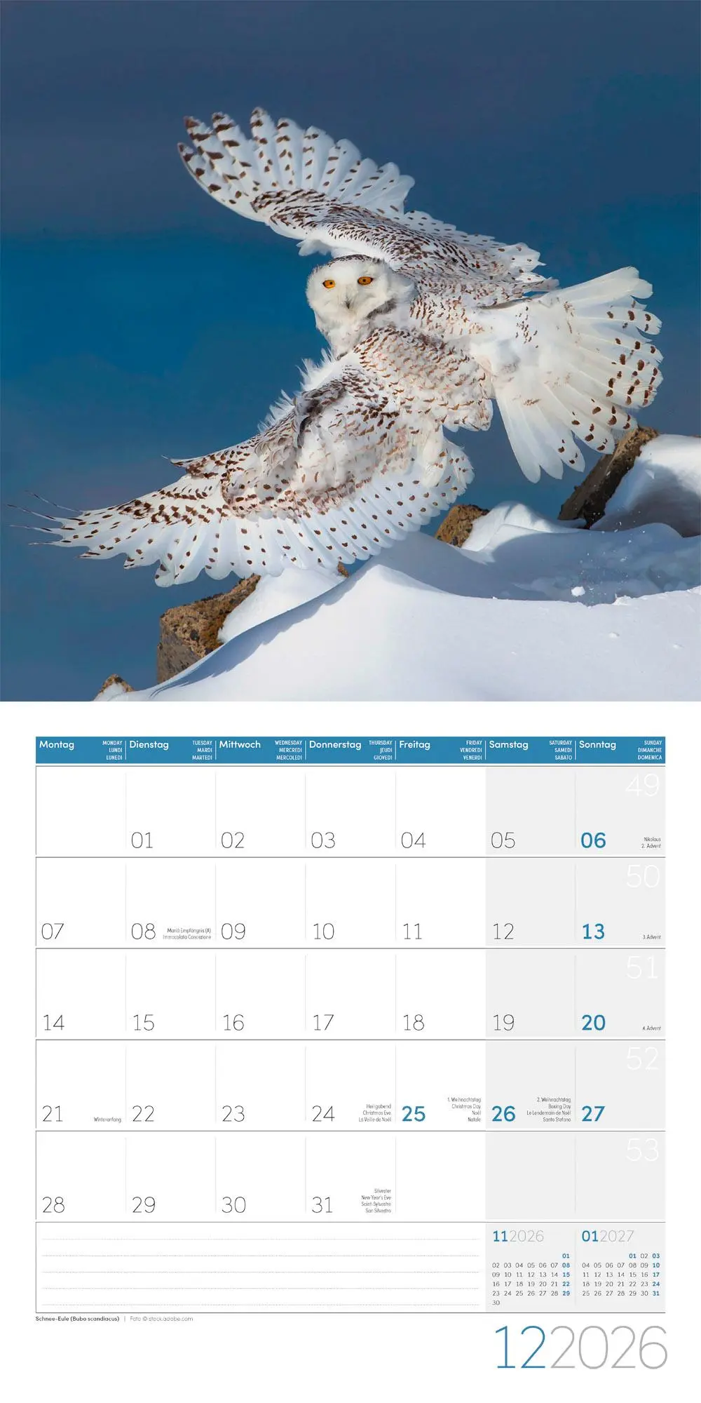 Bild: 9783838446264 | Heimische Wildtiere Broschürenkalender 2026 - 30x30 - Art12 | GmbH