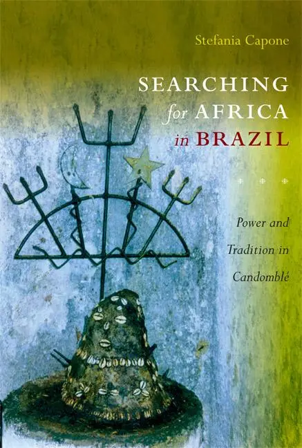 Cover: 9780822346364 | Searching for Africa in Brazil | Power and Tradition in Candomblé