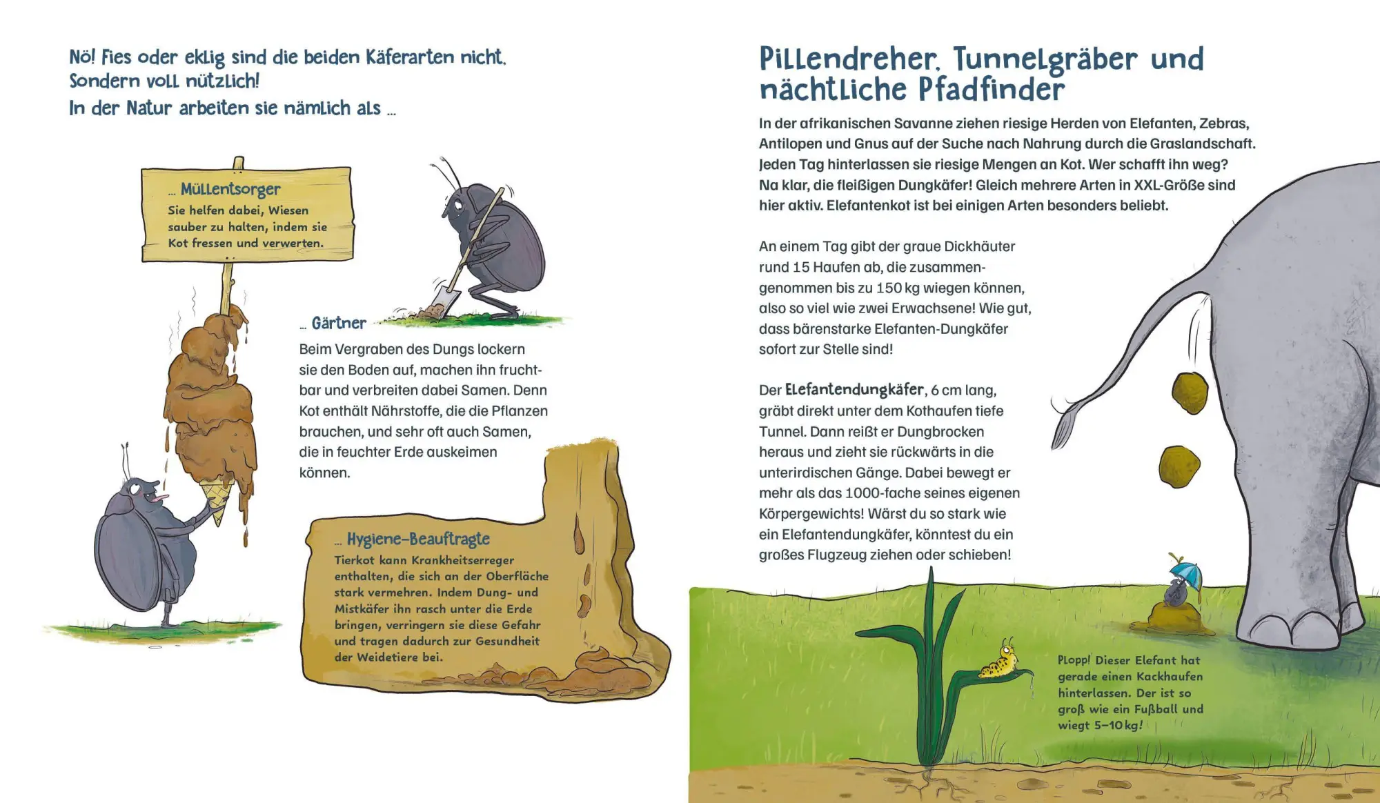 Bild: 9783423766364 | Die Müllabfuhr in der Natur - Alles über Mistkäfer und Co. | Saan