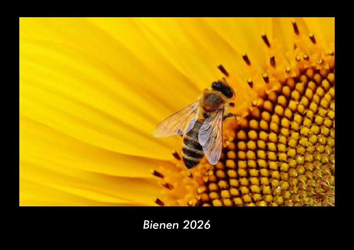 Cover: 9783695406364 | Bienen 2026 Fotokalender DIN A3 | Tobias Becker | Kalender | Deutsch