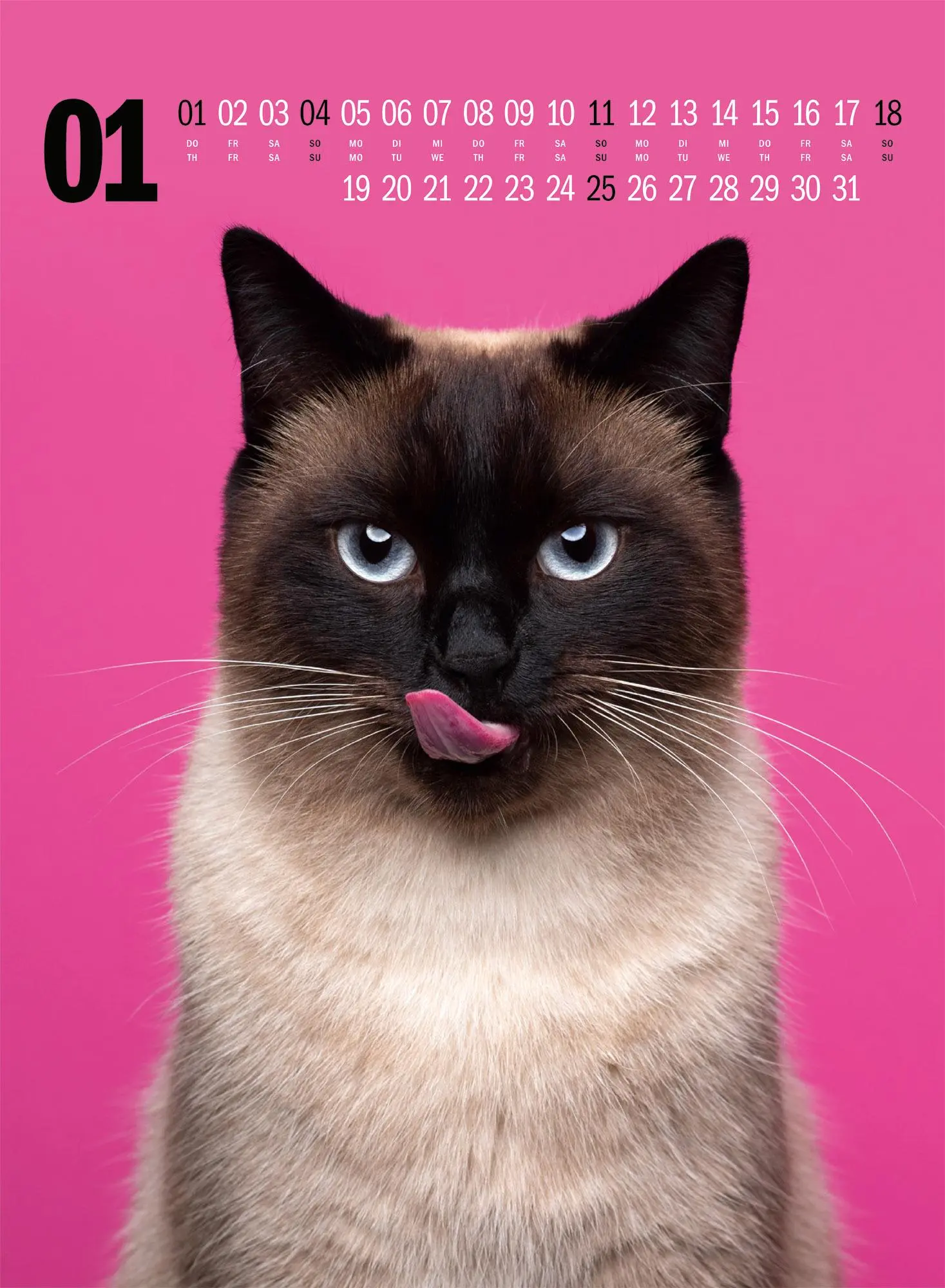 Bild: 9783838436364 | Catography Katzen-Kalender 2026 | Nils Jacobi (u. a.) | Kalender