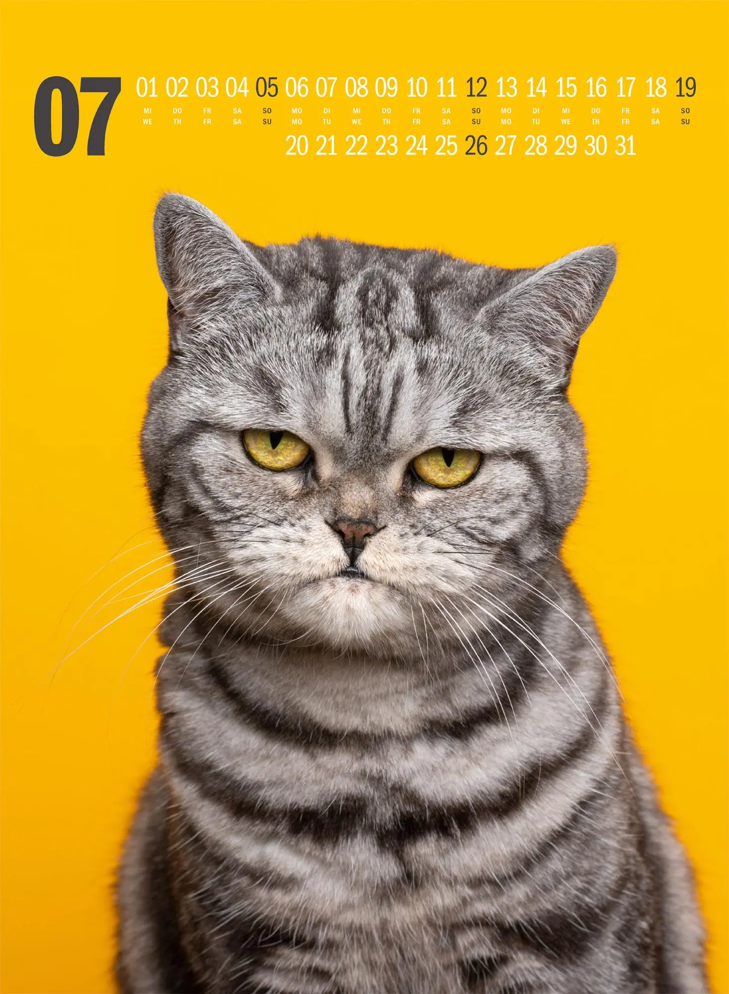 Bild: 9783838436364 | Catography Katzen-Kalender 2026 | Nils Jacobi (u. a.) | Kalender