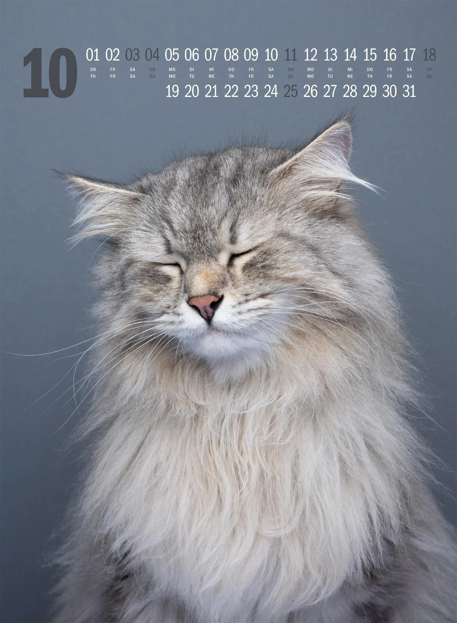 Bild: 9783838436364 | Catography Katzen-Kalender 2026 | Nils Jacobi (u. a.) | Kalender