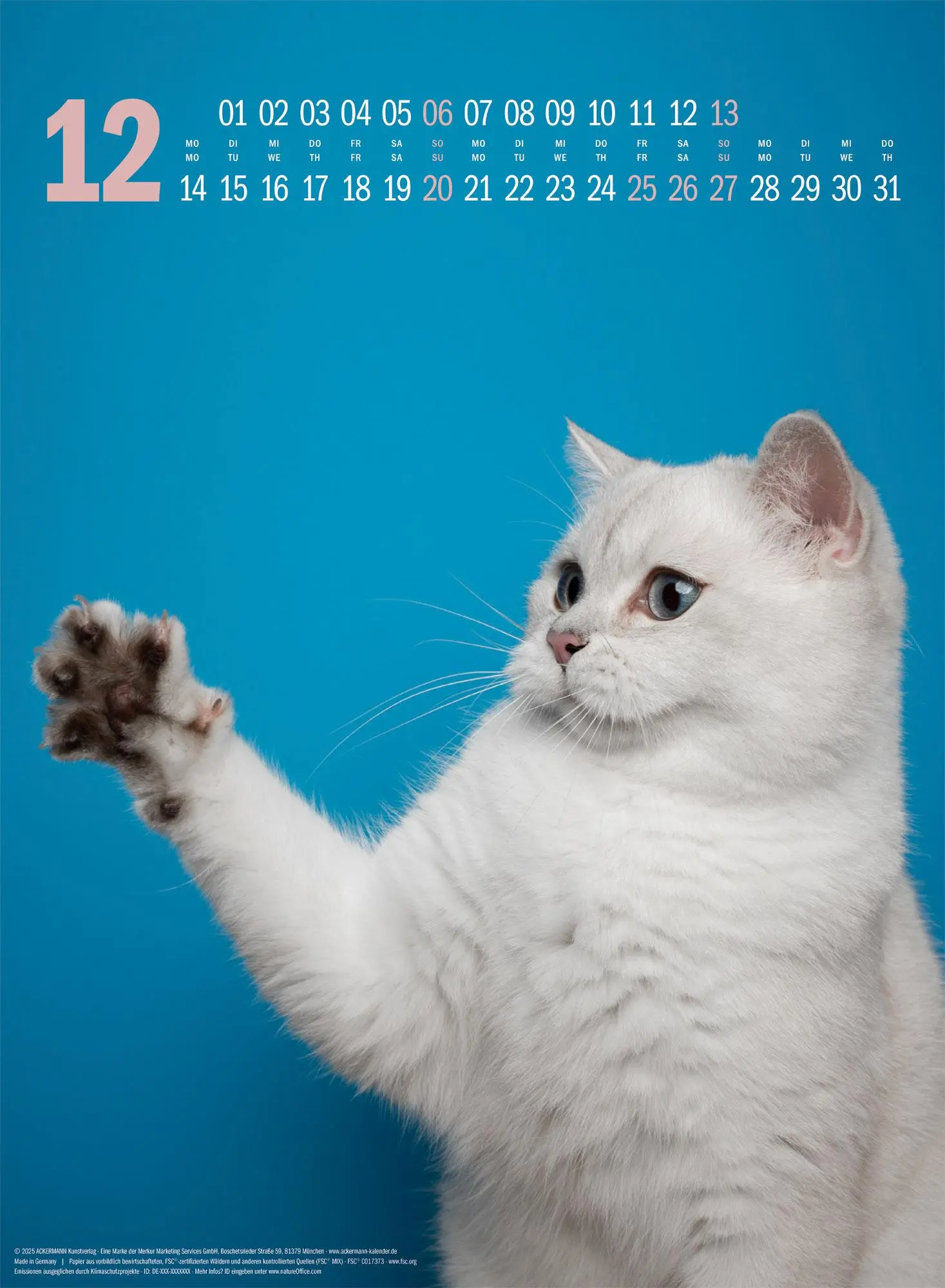 Bild: 9783838436364 | Catography Katzen-Kalender 2026 | Nils Jacobi (u. a.) | Kalender