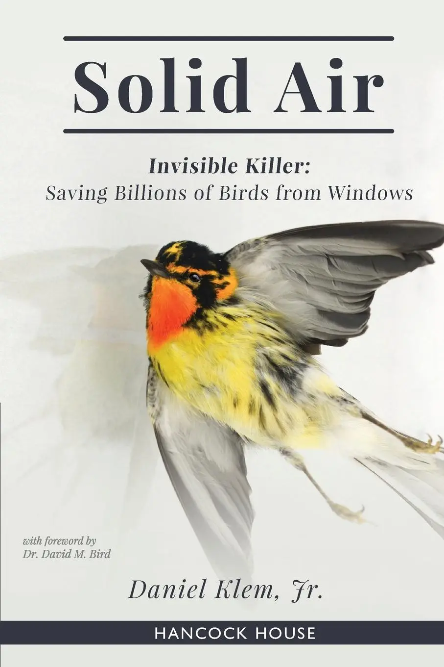 Cover: 9780888396464 | Solid Air | Invisible Killer: Saving Billions of Birds from Windows