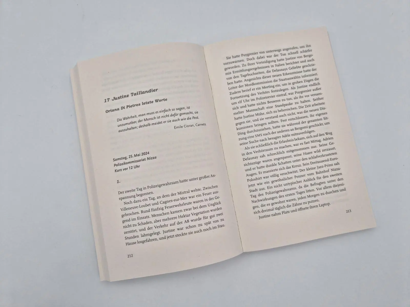 Bild: 9783492066464 | Die fremde Frau | Guillaume Musso | Taschenbuch | 336 S. | Deutsch