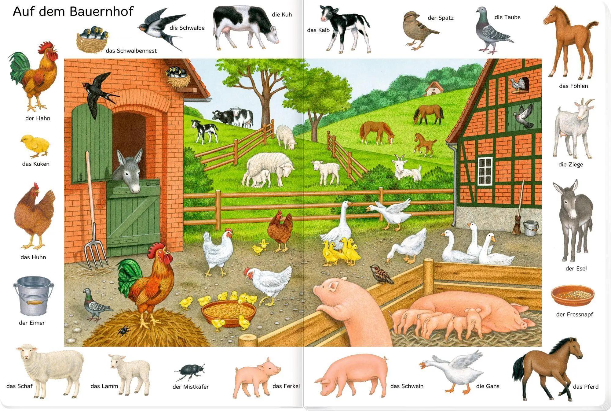 Bild: 9783649646464 | So viele Tiere | Sybille Brauer | Buch | 14 S. | Deutsch | 2023