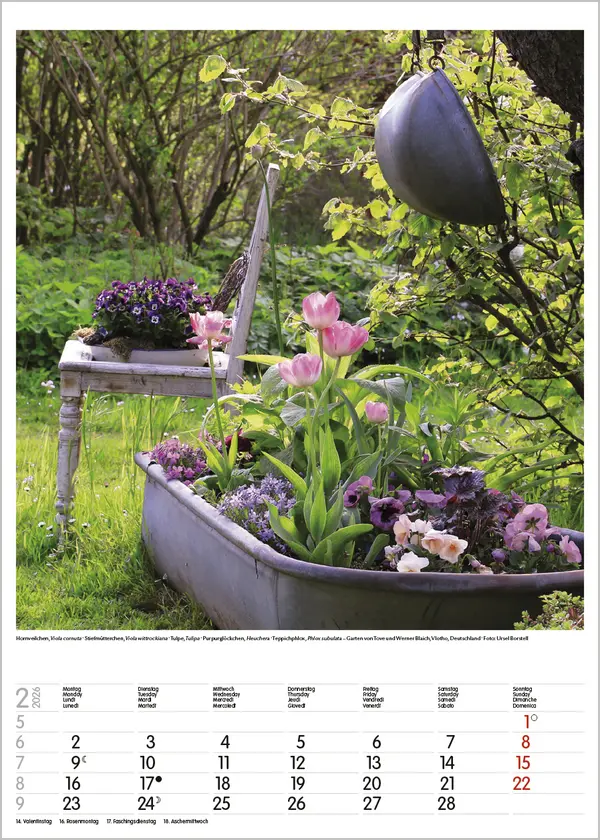 Bild: 9783731886464 | Gartenträume 2026 | Verlag Korsch | Kalender | Spiralbindung | 13 S.