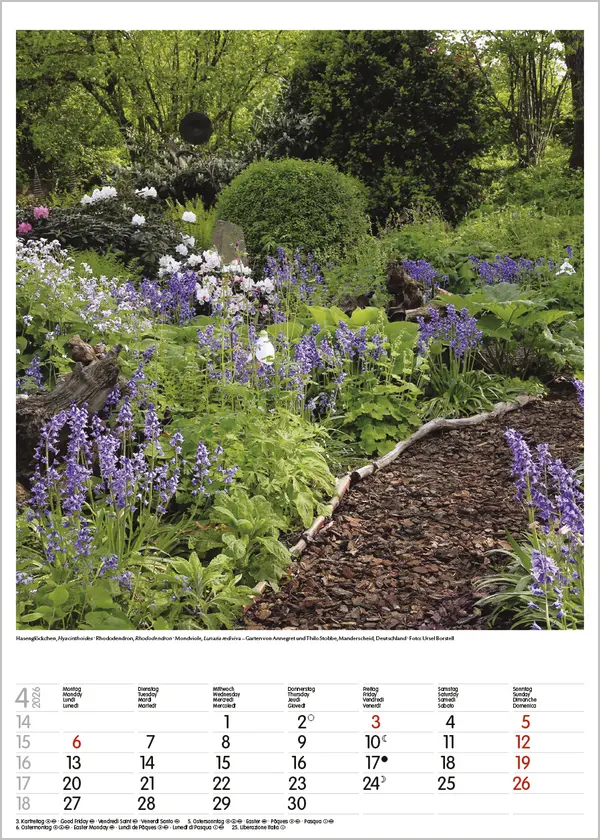 Bild: 9783731886464 | Gartenträume 2026 | Verlag Korsch | Kalender | Spiralbindung | 13 S.