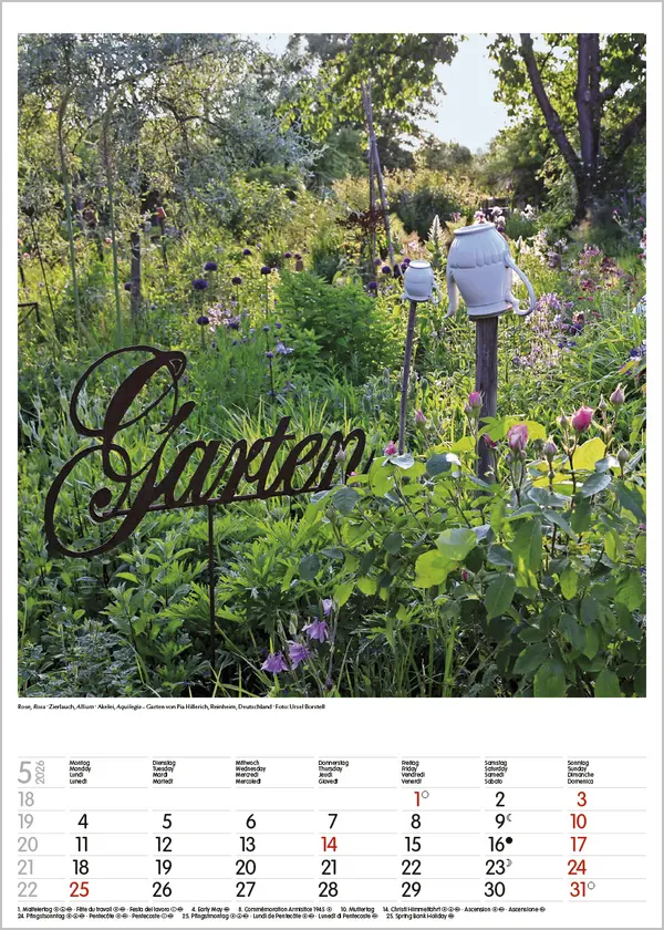 Bild: 9783731886464 | Gartenträume 2026 | Verlag Korsch | Kalender | Spiralbindung | 13 S.