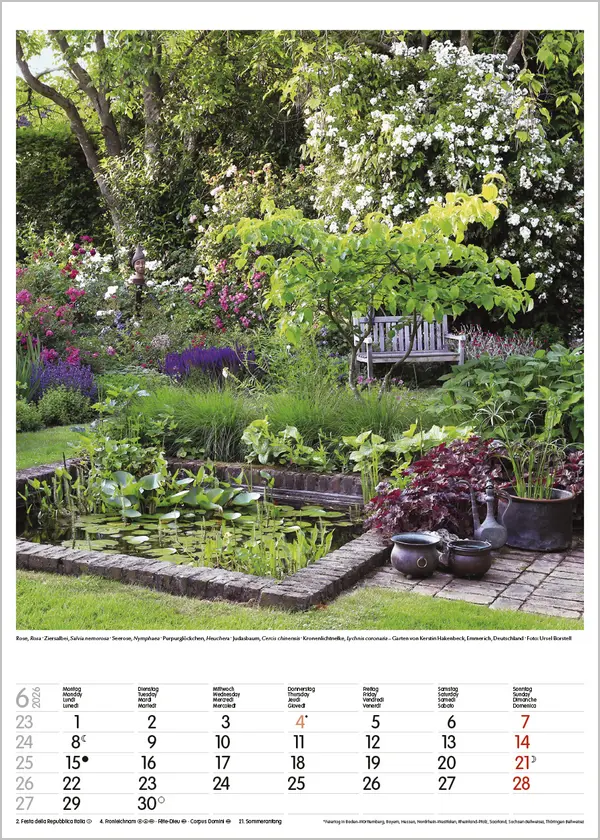Bild: 9783731886464 | Gartenträume 2026 | Verlag Korsch | Kalender | Spiralbindung | 13 S.