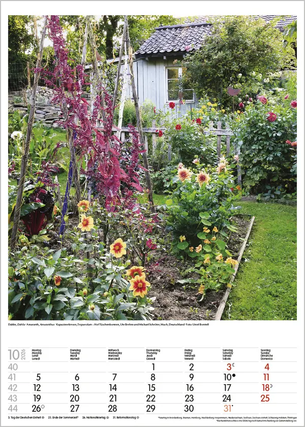 Bild: 9783731886464 | Gartenträume 2026 | Verlag Korsch | Kalender | Spiralbindung | 13 S.