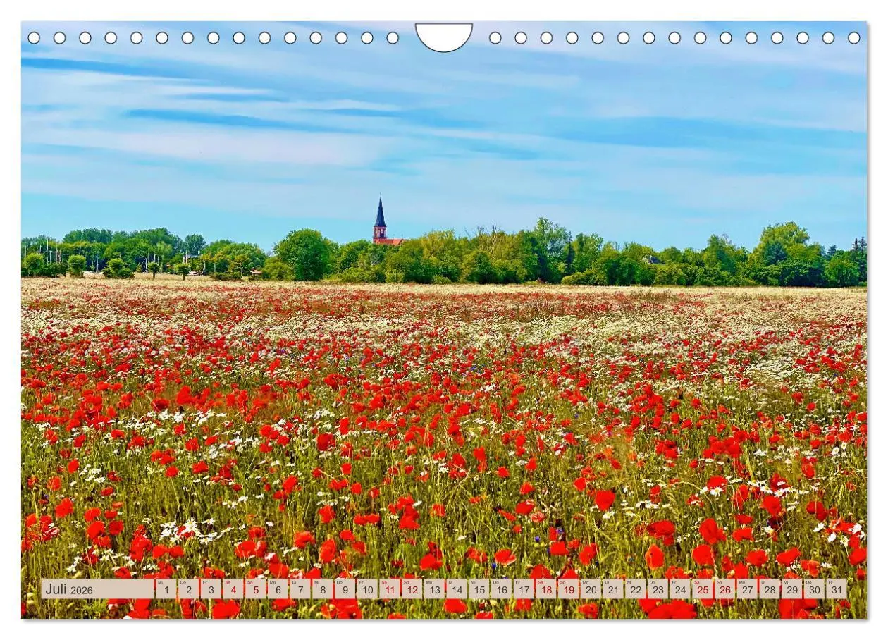 Bild: 9783457576564 | Fischland zwischen Ostsee und Bodden (Wandkalender 2026 DIN A4...