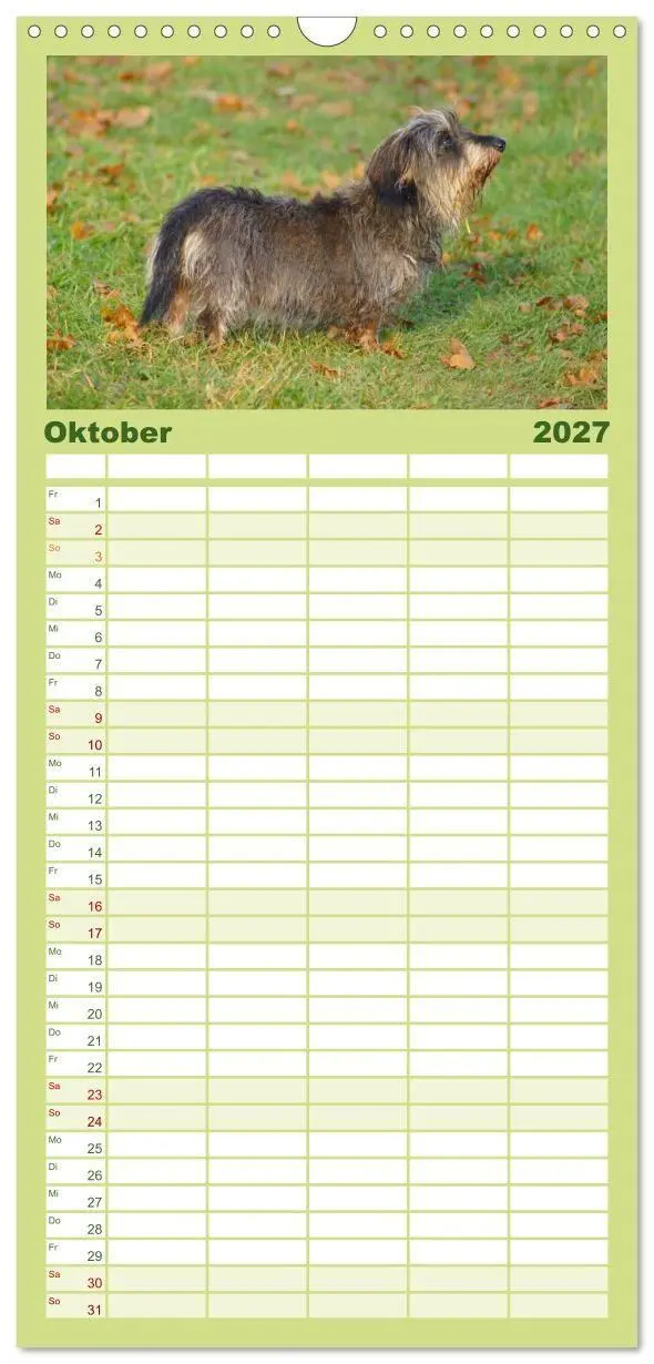 Bild: 9783594336564 | Familienplaner 2027 - Der Zwergrauhaardackel - Eigensinnig und...