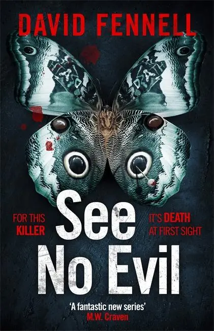 Cover: 9781838776664 | See No Evil | David Fennell | Buch | Gebunden | Englisch | 2022