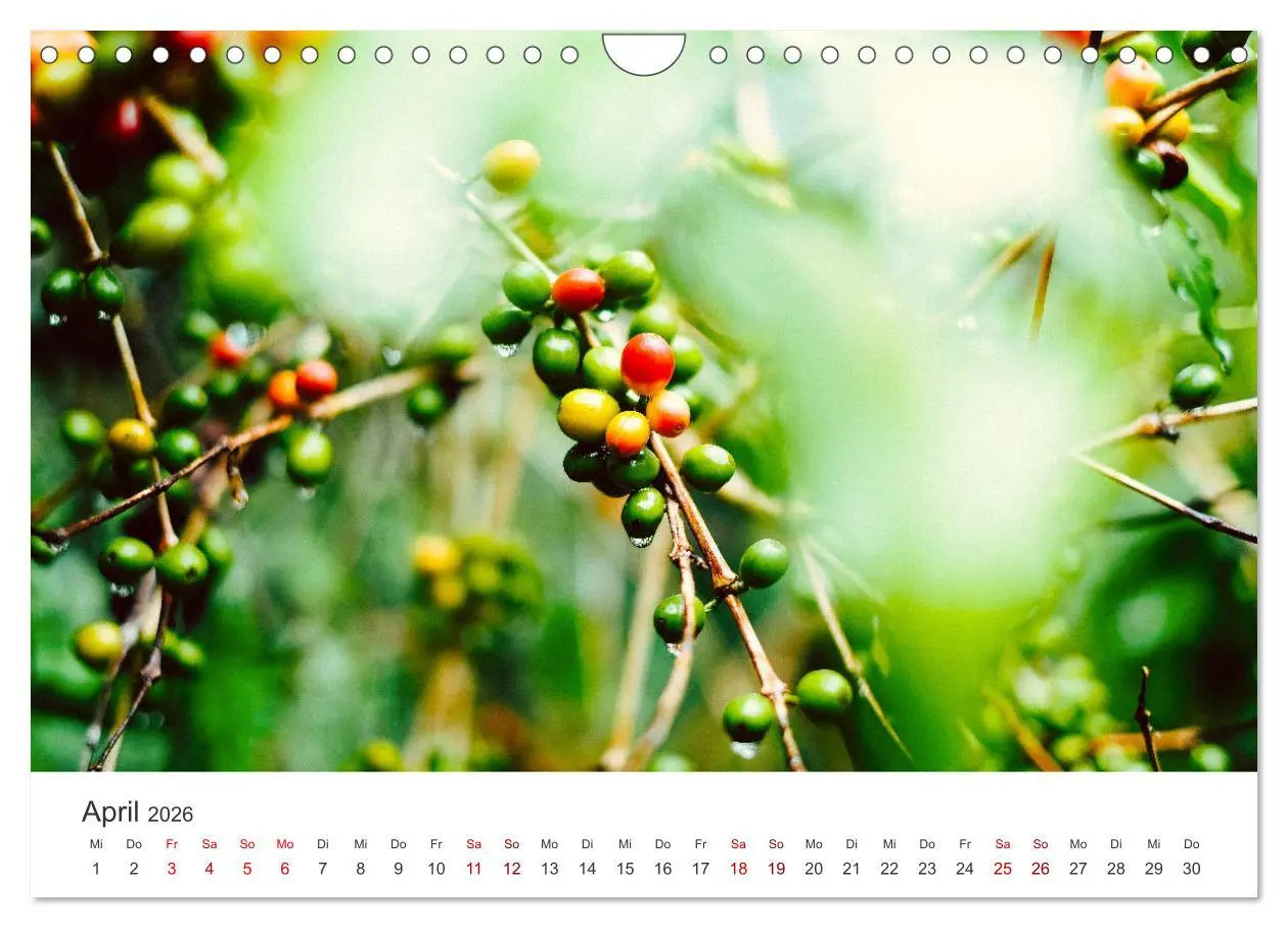 Bild: 9783457566664 | Kunterbuntes Guatemala (Wandkalender 2026 DIN A4 quer), CALVENDO...