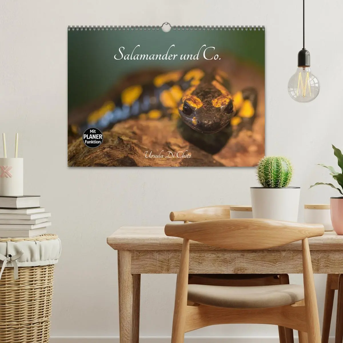 Bild: 9783457946664 | Salamander und Co. (Wandkalender 2026 DIN A3 quer), CALVENDO...