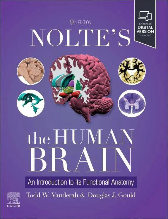 Cover: 9780443126864 | Nolte's The Human Brain | An Introduction to its Functional Anatomy