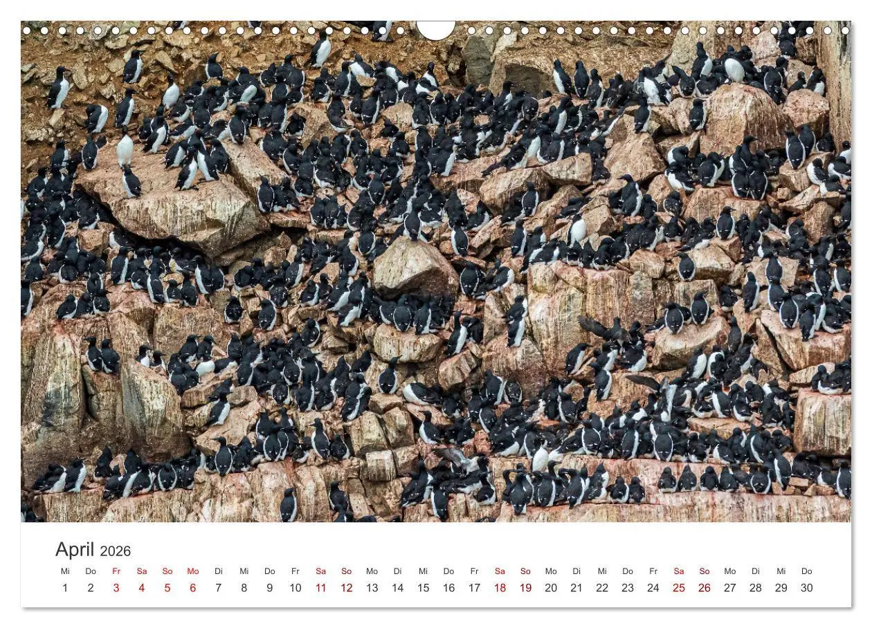 Bild: 9783457546864 | Spitzbergen - Eis, Eisbären und mehr (Wandkalender 2026 DIN A3...