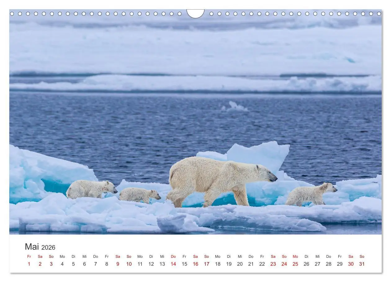 Bild: 9783457546864 | Spitzbergen - Eis, Eisbären und mehr (Wandkalender 2026 DIN A3...