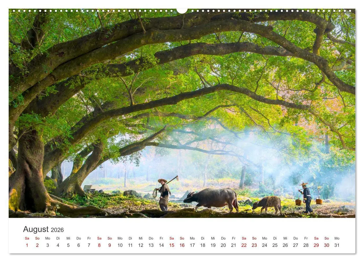Bild: 9783457616864 | China - Tradition trifft Moderne. (Wandkalender 2026 DIN A2 quer),...