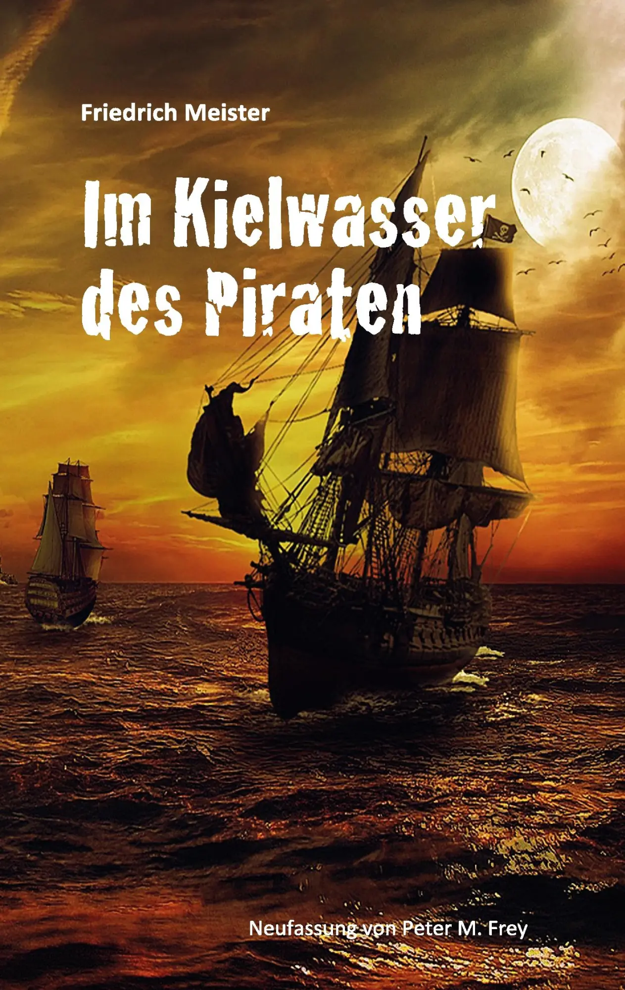 Cover: 9783744886864 | Im Kielwasser des Piraten | Friedrich Meister | Taschenbuch | 304 S.