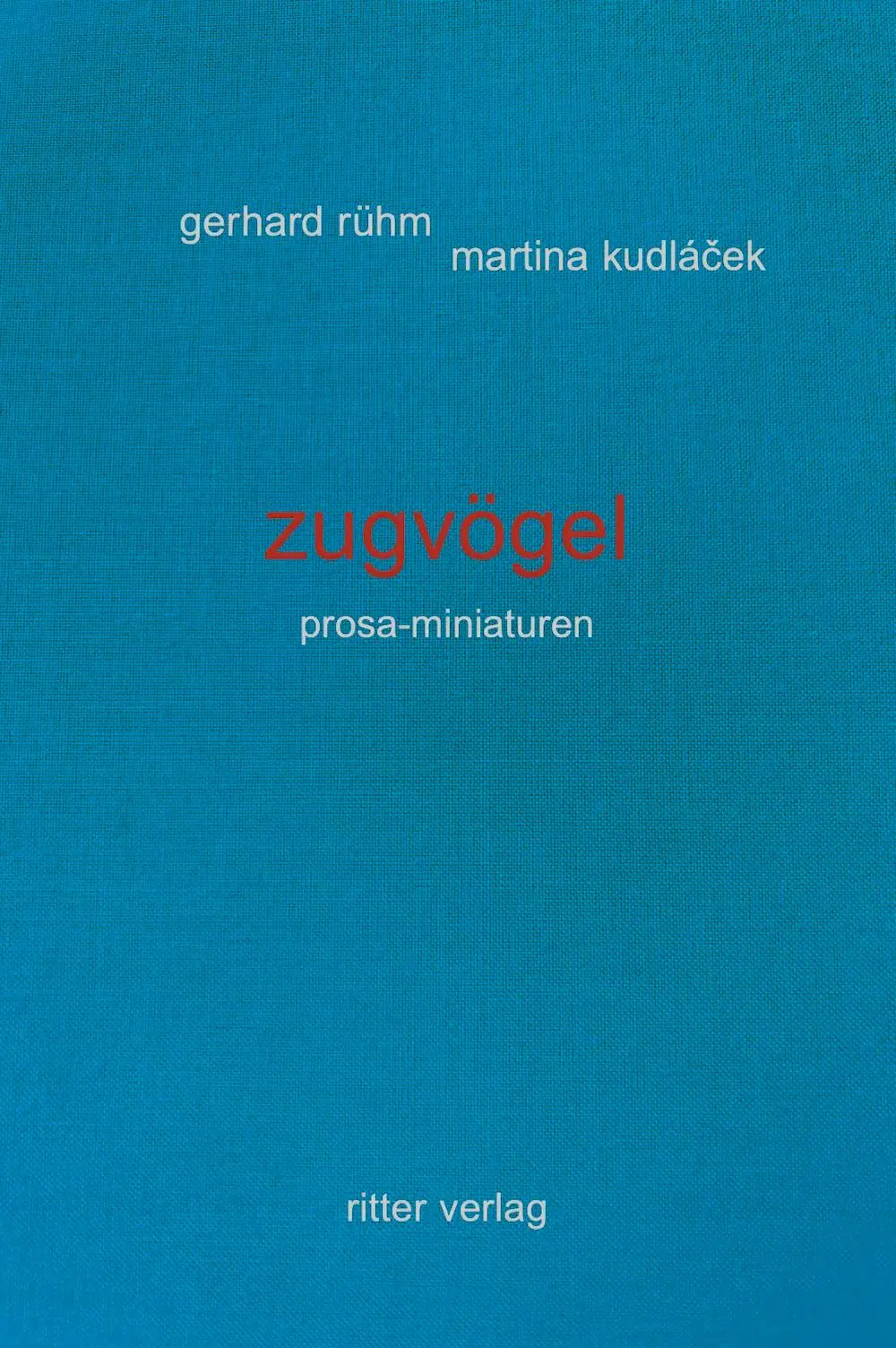 Cover: 9783854156864 | zugvögel | 36 prosa-miniaturen + eine zugabe | Kudlá¿ek (u. a.) | Buch