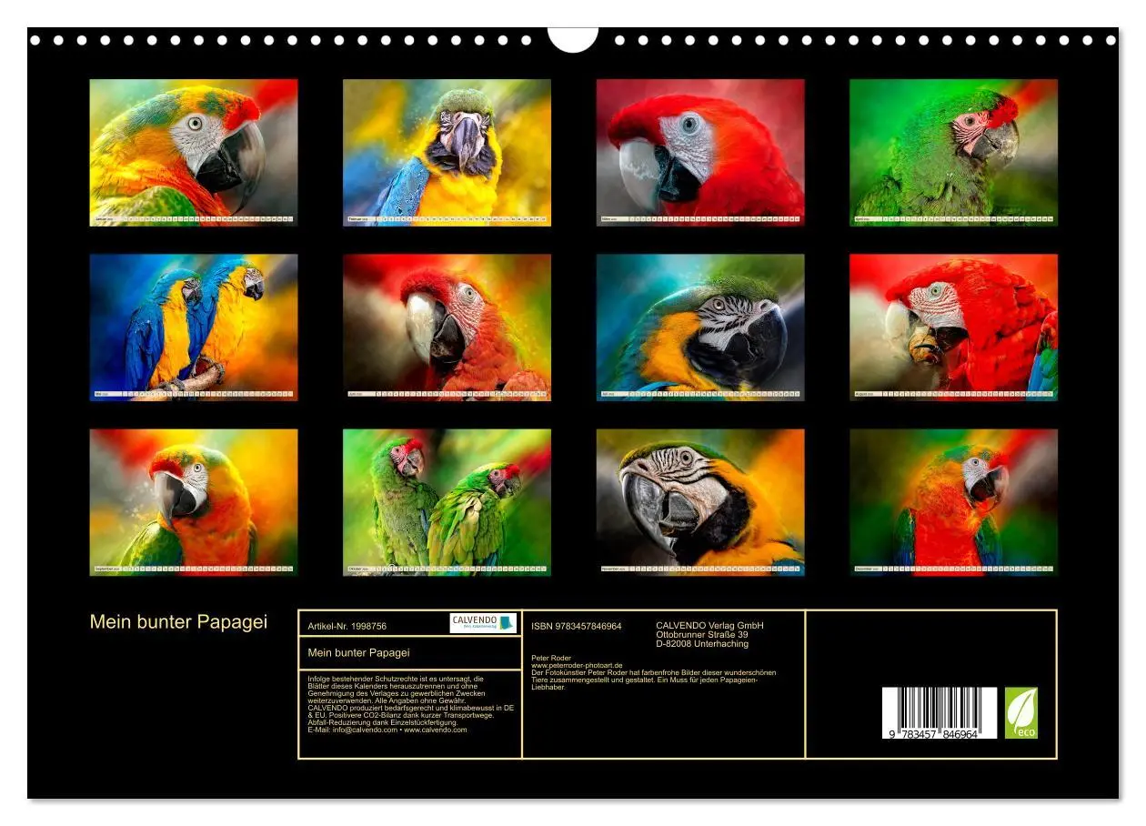 Bild: 9783457846964 | Mein bunter Papagei (Wandkalender 2026 DIN A3 quer), CALVENDO...