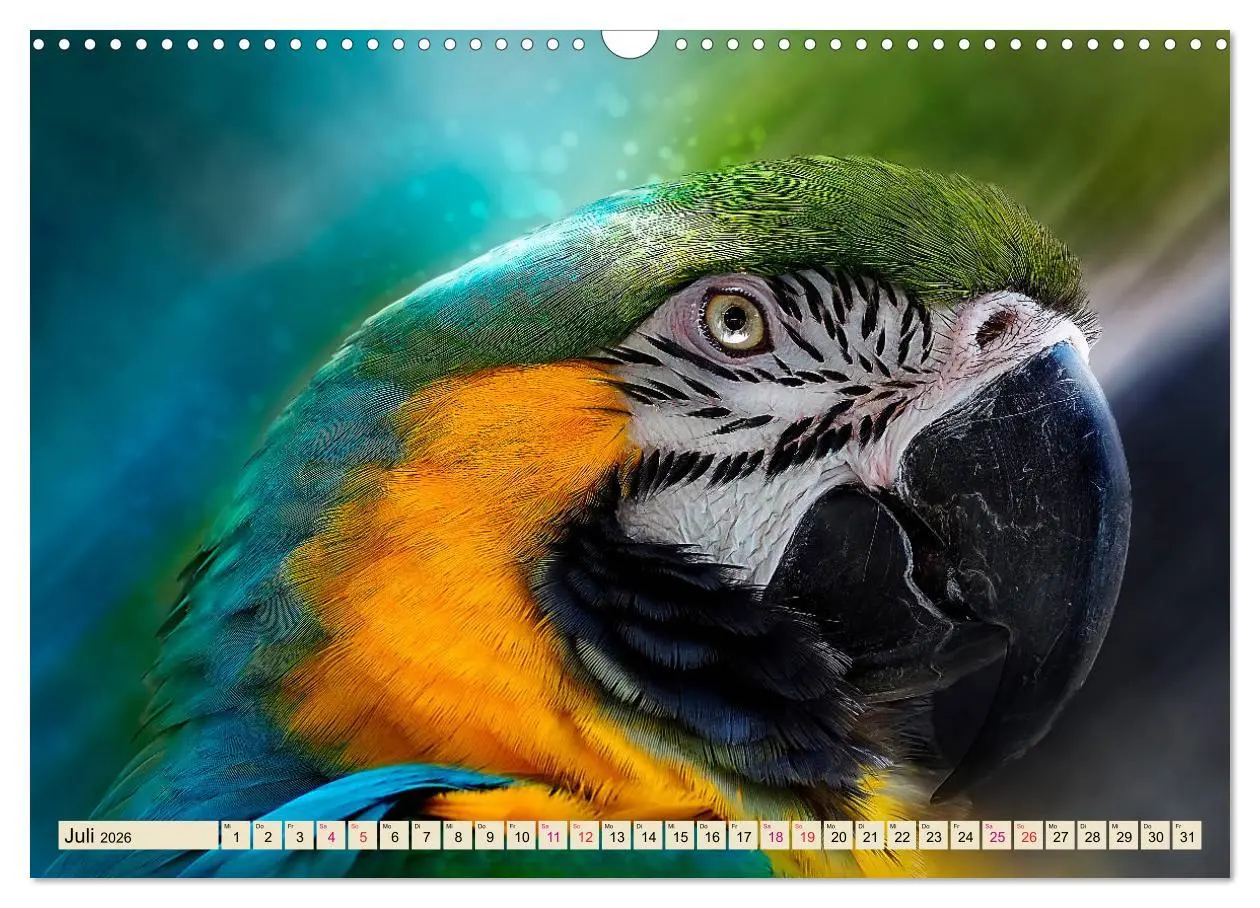 Bild: 9783457846964 | Mein bunter Papagei (Wandkalender 2026 DIN A3 quer), CALVENDO...