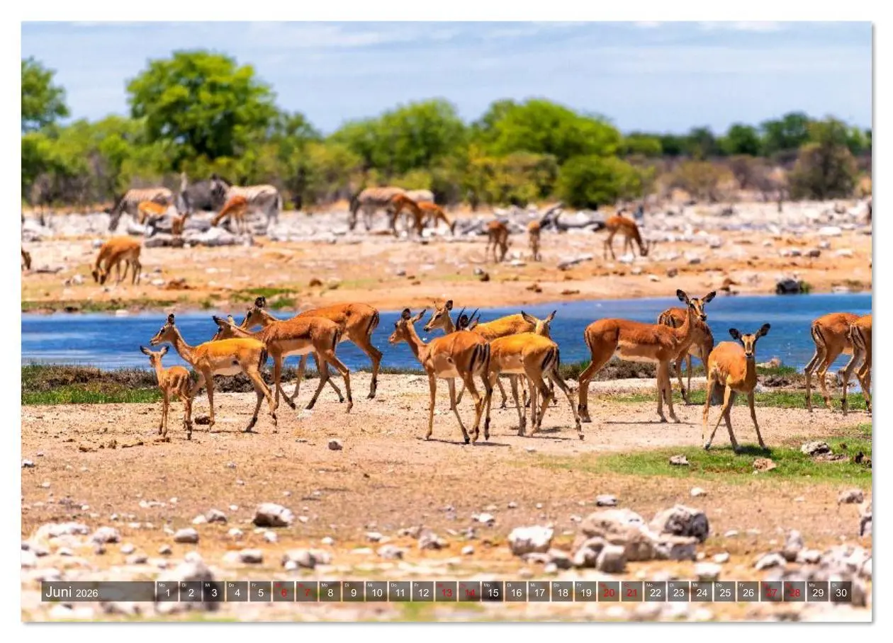 Bild: 9783516626964 | Namibia und Botswana - Entdeckungen in der Weite Afrikas...