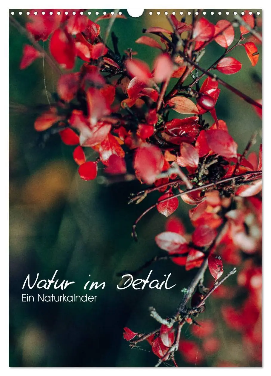 Cover: 9783569607064 | Kalender - Natur im Detail (Wandkalender 2027 DIN A3 hoch),...