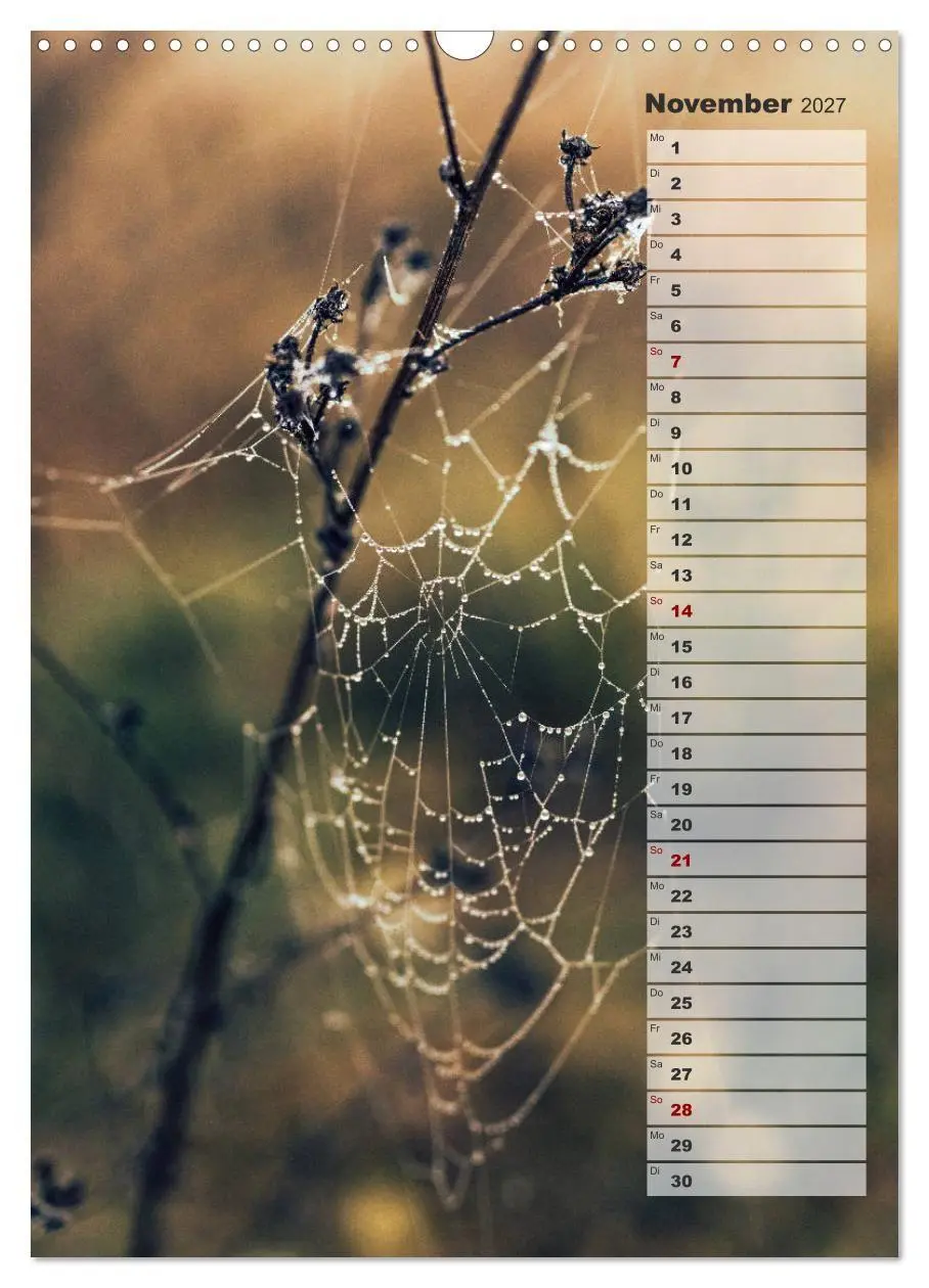 Bild: 9783569607064 | Kalender - Natur im Detail (Wandkalender 2027 DIN A3 hoch),...