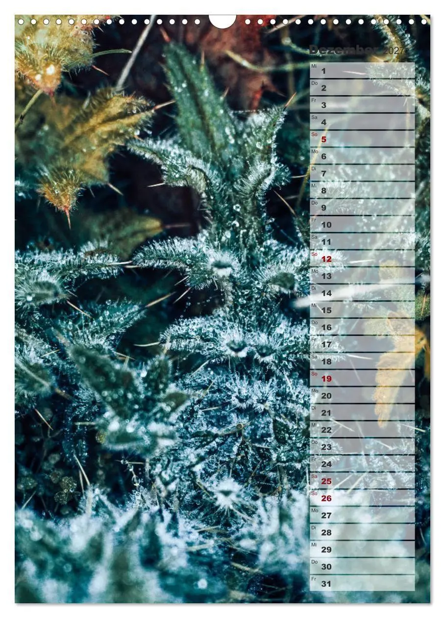Bild: 9783569607064 | Kalender - Natur im Detail (Wandkalender 2027 DIN A3 hoch),...