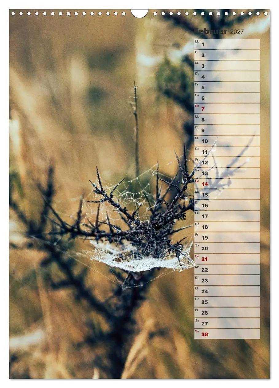 Bild: 9783569607064 | Kalender - Natur im Detail (Wandkalender 2027 DIN A3 hoch),...
